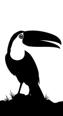 Fototapeta premium Toucan bird silhouette black white illustration.