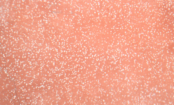 Speckled Pink Texture Background With White Flecks Closeup Abstract Surface Pattern For Design