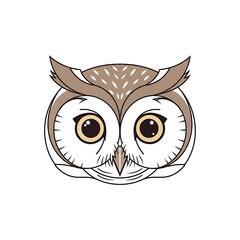 Obraz premium Brown owl face with big eyes.