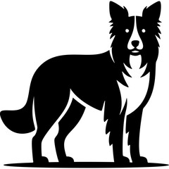 Fototapeta premium Border Collie Vector Icon