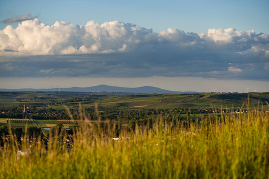 Blick vom Adelberg zum Gro&szlig;en Feldberg, Aulheimer Tal (Flonheim) Mai 2026