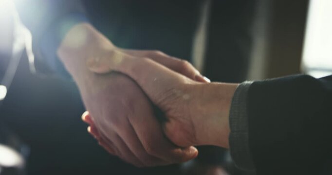 Business handshake in the office