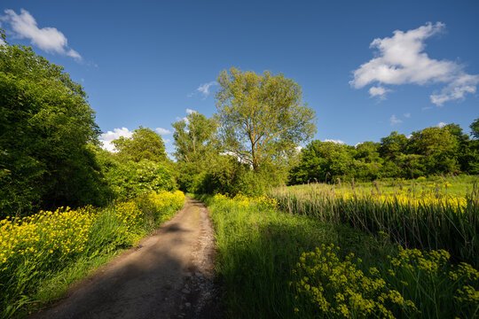 Aulheimer Tal (Flonheim) Mai 2026