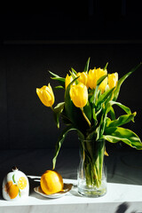 tulipan © Kate