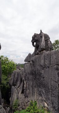 Panning shot across Shilin Stone Forest summits reveals stunning example of natural stone sculpture resembling elephant. From turtle-shaped formation, camera turn right to showcase karst figure