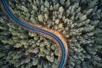 Fototapeta premium Winding road curving through a green forest landscape