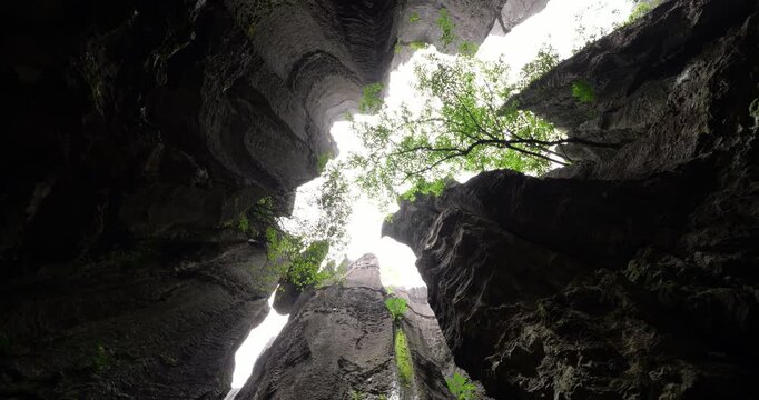 Towering fluted walls of uneven limestone canyon seen in spinning worm's eye perspective. Camera looking straight up from deep canyon floor of this unique geological formation at Shilin Stone Forest.