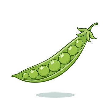 A single open green pea pod revealing seven perfect round peas inside a healthy vegetable illustration