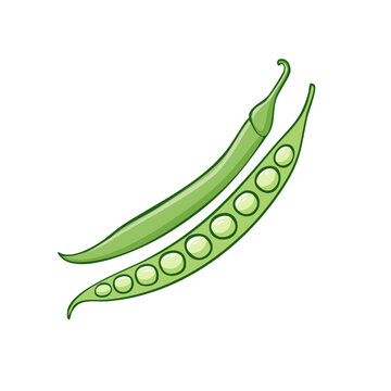 Green String Bean and Split Pea Pod with Visible Peas Healthy Food Ingredient Illustration