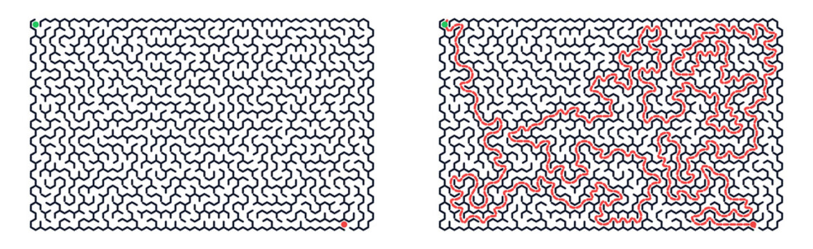 Maze puzzle with intricate paths and solutions in red lines  