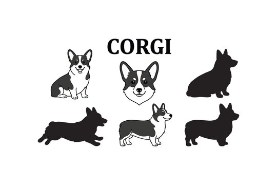 Corgi dog breed collection black and white line art illustrations