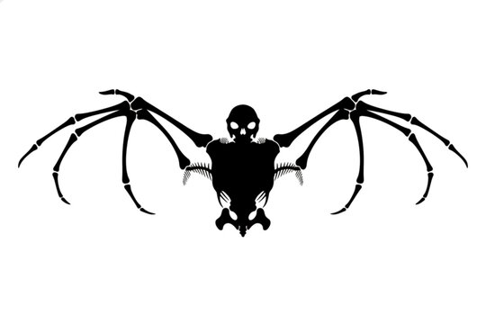 Bat Skeleton Silhouette: A striking black silhouette of a bat skeleton with outstretched, skeletal wings creates a dramatic and eerie image, perfect for Halloween or dark fantasy themes.