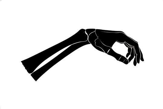 Skeleton Hand: A black silhouette of a skeletal hand, revealing the delicate structure of bones in the wrist and fingers, isolated on a stark white background.
