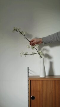 Luxury Flower Arrangement for Home Decor Aesthetic