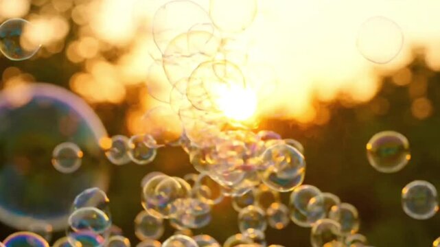 Many soap bubbles floating in air at sunset close up, golden hour light, shallow depth of field, slow motion.