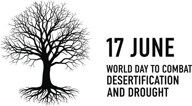 This black and white graphic photograph features a bare tree with deep roots representing the annual world day to combat desertification and drought in june.