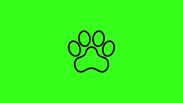 2D flat dog paw outline icon animation on green screen background