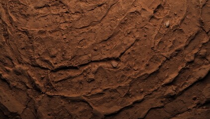 Fototapeta premium Background showing soil texture with smooth surface and diffused studio lighting