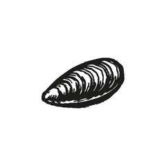 Mussel Shell Illustration © Bamby