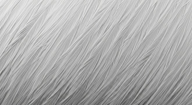 Intricate Feather Texture Macro Detail Elegant Natural Pattern Soft Gray and White Abstract