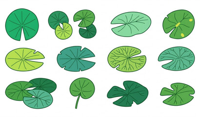 Cartoon water lily leaf illustration collection with floating pond lily pad vector elements © MstLima