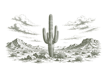 Classic engraving style vector illustration of a tall saguaro cactus growing in an arid desert valley with rocky hills and mountain ranges © Chairul