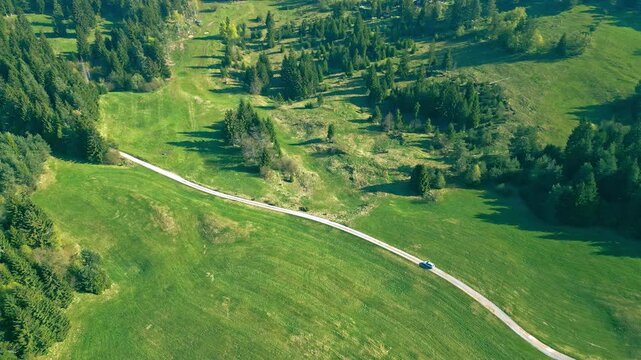 A winding road cuts through a lush green landscape bordered by dense forest and rolling hills. A lone vehicle traverses the serene, tranquil path.