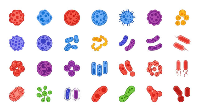 Colorful Bacteria Vector Icon Sheet with Spherical Cocci and Rod Shaped Bacilli Cells Staphylococci Streptococci and E Coli Isolated Flat Icons Set