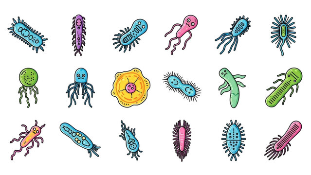 Protozoa Vector Icon Sheet with Colorful Paramecium Euglena Ciliate Flagellate Dynamic Microbe Cells Biology Science Graphics Isolated Flat Icons Set