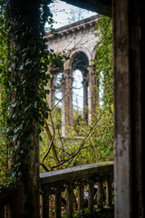 Naklejka premium Nature Taking Over Abandoned Interior Space