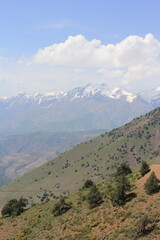 Fototapeta premium A view of snow-capped mountains in Uzbekistan in spring