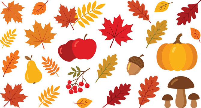 Flat Design Autumn Harvest Vector Element Set with Colorful Fall Leaves Pumpkin Apple Pear Mushroom and Acorn Clipart Icons