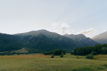 Fototapeta premium Green grassy field with scattered bushes under clear sky and mountain range in the background during daytime, natural landscape with peaceful outdoor environment.