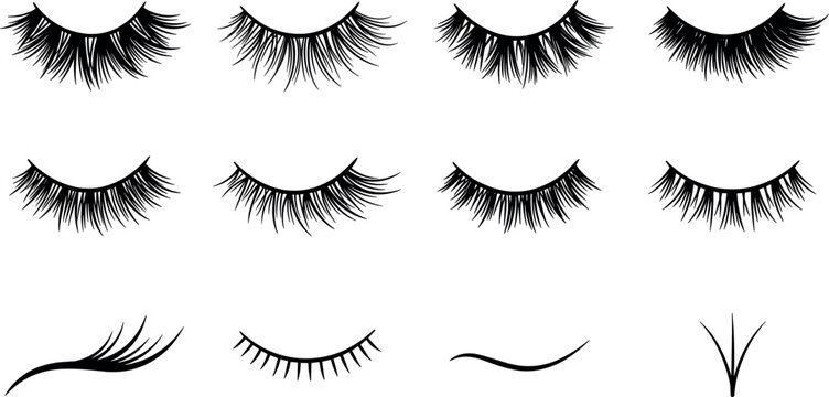 False eyelash vector collection with dramatic lash styles isolated for beauty makeup cosmetic and fashion branding design