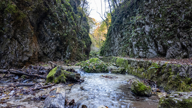 View of Gola dell'Infernaccio gorge with a flowing stream, mossy rocks, and steep rocky walls Montefortino, Marche, Italy.