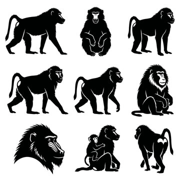 Black and white vector silhouette set of Baboon