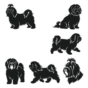 Black and white vector silhouette set of Lhasa Apso dog.
