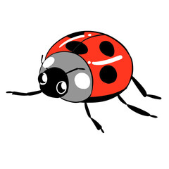 Fototapeta premium Cute cartoon ladybug on black background