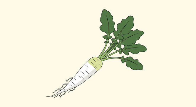 Single illustration of a fresh white radish with green leaves on a plain light yellow background for cooking.