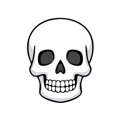 Obraz premium Human skull isolated on white background simple illustration