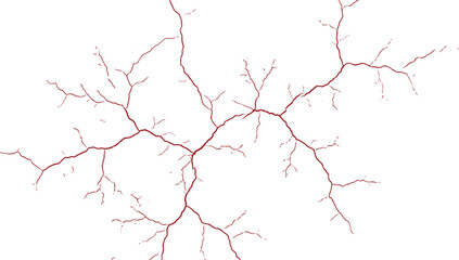 Obraz premium Abstract Red Veins Pattern on White Background