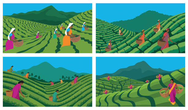 South Asian Tea Plantation in India with Farmers and Green Terraces
