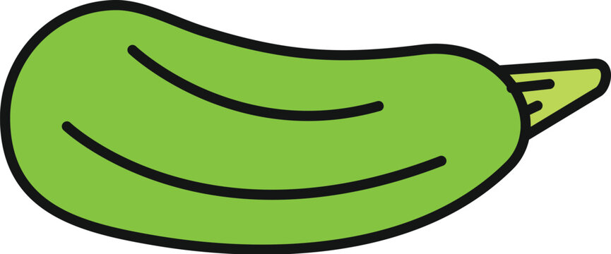 Zucchini vector drawing representing a healthy organic vegetable ingredient