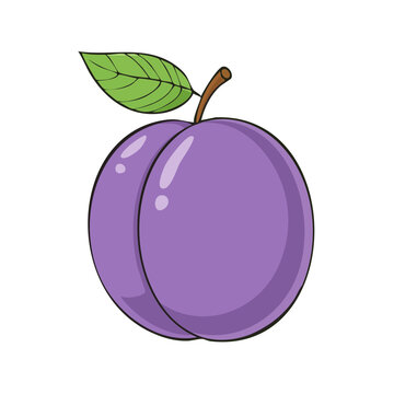 Illustration of a fresh purple plum with a green leaf and stem