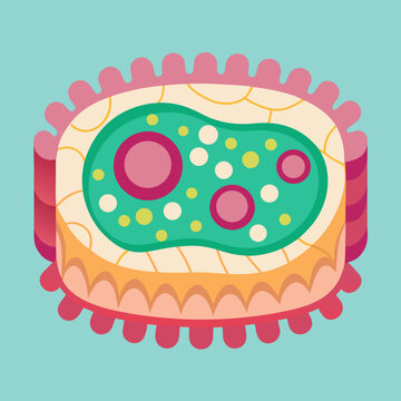 Stylized Illustration of Squamous Epithelial Cell