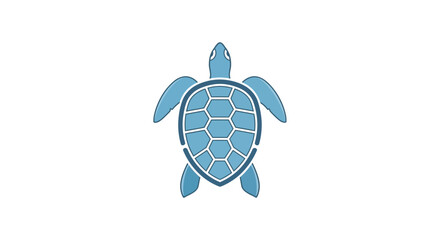 Blue turtle shell with fins up. © Budi Indriyani