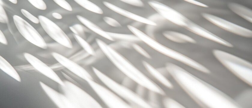 Soft light and shadow abstract background texture pattern design