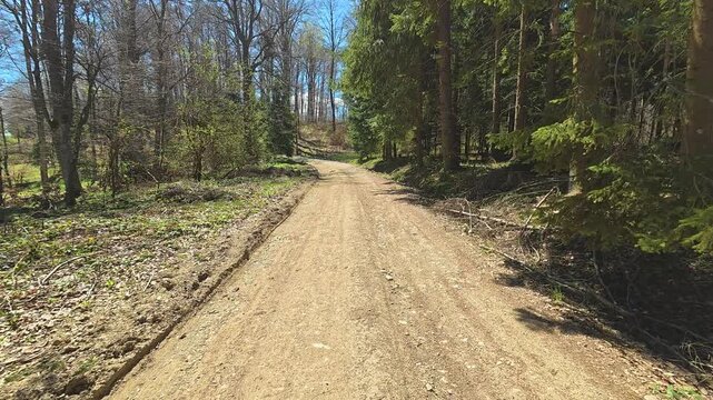 Dirt path winds through young forest. Mount Goc, Ljukten peak. Balkans, Serbia