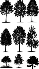 Fototapeta premium Silhouettes of nine diverse trees, rendered in black against a white background