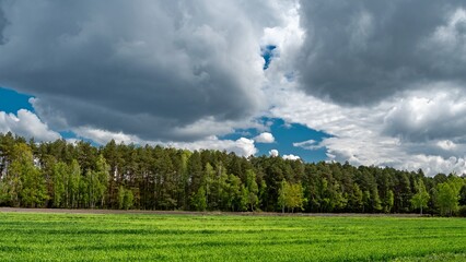 Forests and fields in spring. © Adam